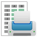 Print CSV Files
