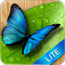 Butterflies for Kids APK