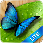 Icona Butterflies for Kids