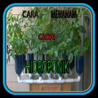 Cara Menanam Cabai Hidroponik โปสเตอร์