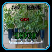 برنامه‌نما Cara Menanam Cabai Hidroponik عکس از صفحه