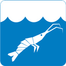 BlumbangReksa Vote APK