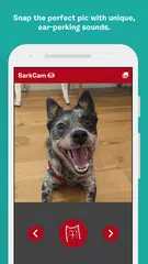 BarkCam アプリダウンロード