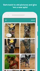 BarkCam アプリダウンロード