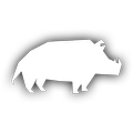 Boar