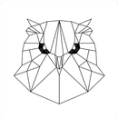 APK Strix