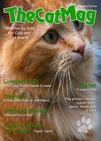 پوستر The Cat Mag