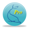 MySQL Client (Pro) APK