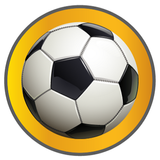 Vive la Copa América 2016 icône