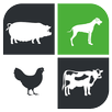 VadeAprovet APK