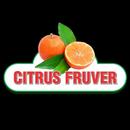 Citrus Fruver APK