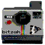 Bitzah Retro Pixel Camera