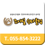 조이빌승마클럽