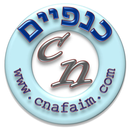 כנפיים APK