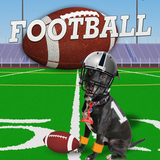 Football Dress Up icon