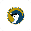 Lacombe Golf & CC APK