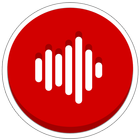 PolskaStacja Internet Radio icon