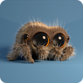 Lucas the spider