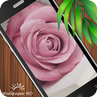 Rose Wallpaper HD icono