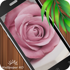 Rose Wallpaper HD أيقونة