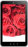 Rose Wallpaper HD syot layar 2