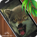 Wolf Wallpaper HD APK