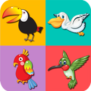 Birds Memory Game : Matching aplikacja