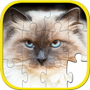 Cat Jigsaw Puzzles for Kids aplikacja