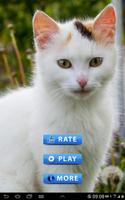 Best Cats game bài đăng