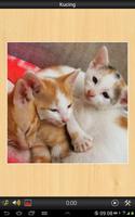 Best Cats game ảnh chụp màn hình 1
