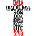Biblia Salvación Jn316 图标