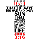 Biblia Salvación Jn316 ikon