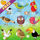 Malbuch: Vögel! FREE Zeichen