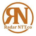 RadarNTT.co