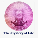 APK The Mystery of Life