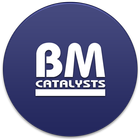 Icona BM Catalysts
