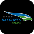 APK Halcones Xalapa