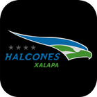 Icona Halcones Xalapa