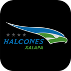 Halcones Xalapa 圖標