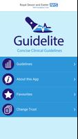 Guidelite poster