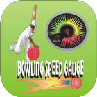 Icona Bowling Speed Gauge