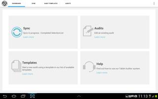 Tablet Auditor capture d'écran 1