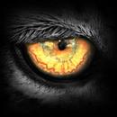 Leopard TV APK