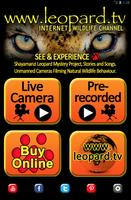 Leopard TV capture d'écran 1