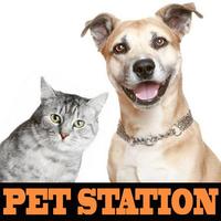 Pet Station BSD City 海报