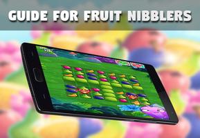 Guide for Fruit Nibblers Plakat