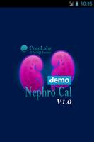 Nephro Cal Demo โปสเตอร์