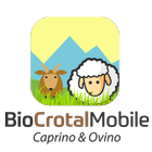 BioOvinoMobile - Gestiona tu ganado Ovino biểu tượng