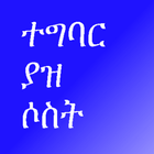 Eng Amharic Flash Cards icône