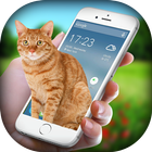 Cat on Screen - Cat in Phone Prank иконка